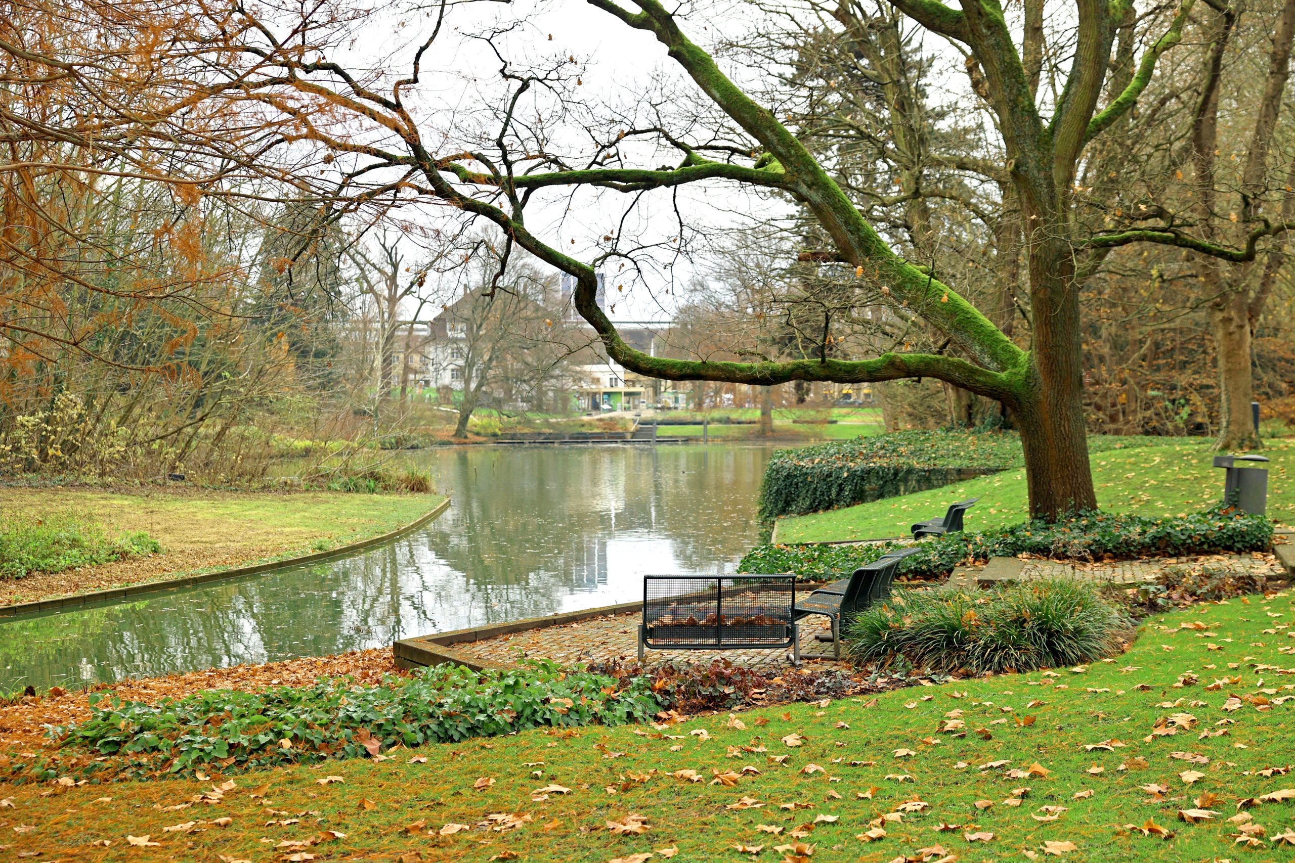 Der Zoologische Stadtgarten Karlsruhe mit seiner winterlichen Atmosphäre. Foto: Timo Deible/Zoo Karlsruhe