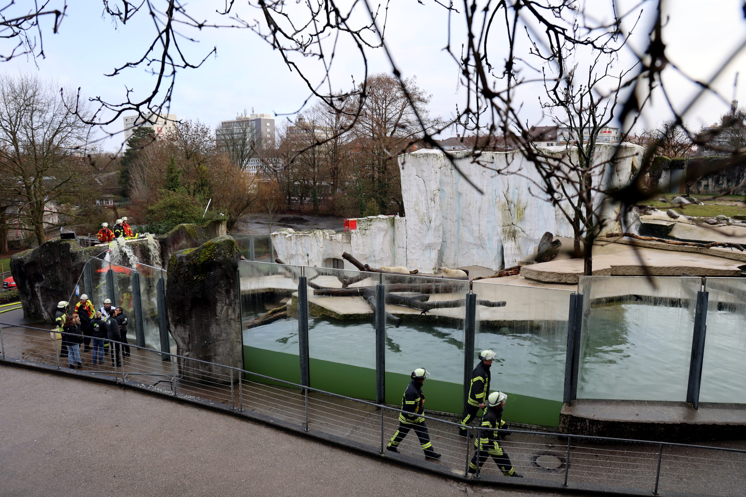 Über Schläuche leiten Einsatzkäfte der Feuerwehr Wasser in das Tiefbecken des Eisbärengeheges. Die Tiere konnten nach etwa einer halben Stunde aus eigener Kraft durch den gestiegenen Wasserpegel wieder an Land gehen. Foto: Timo Deible/Zoo Karlsruhe