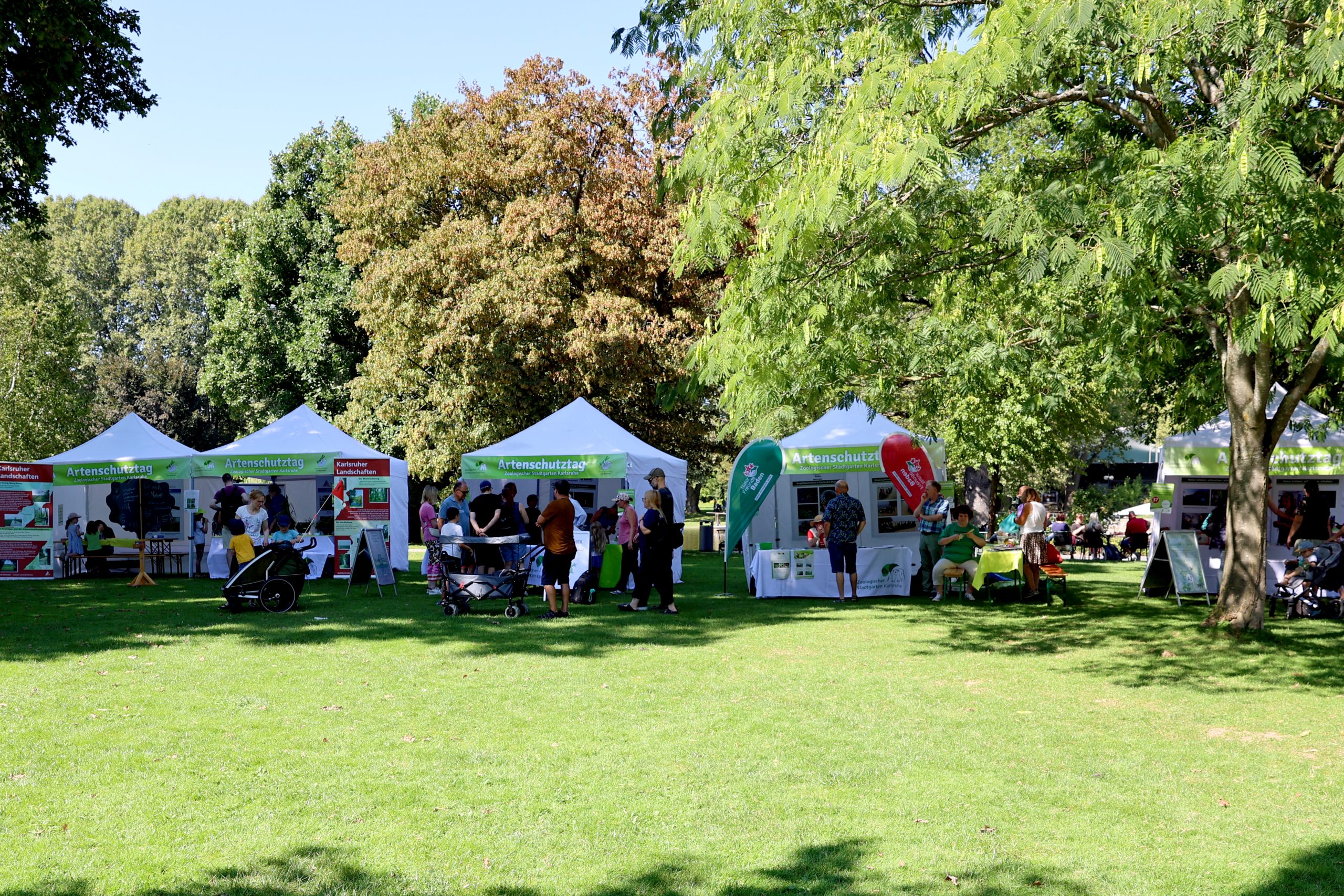 Der Artenschutztag ist eines der Glanzlichter im Veranstaltungsprogramm. Foto: Timo Deible/Zoo Karlsruhe (Archiv)