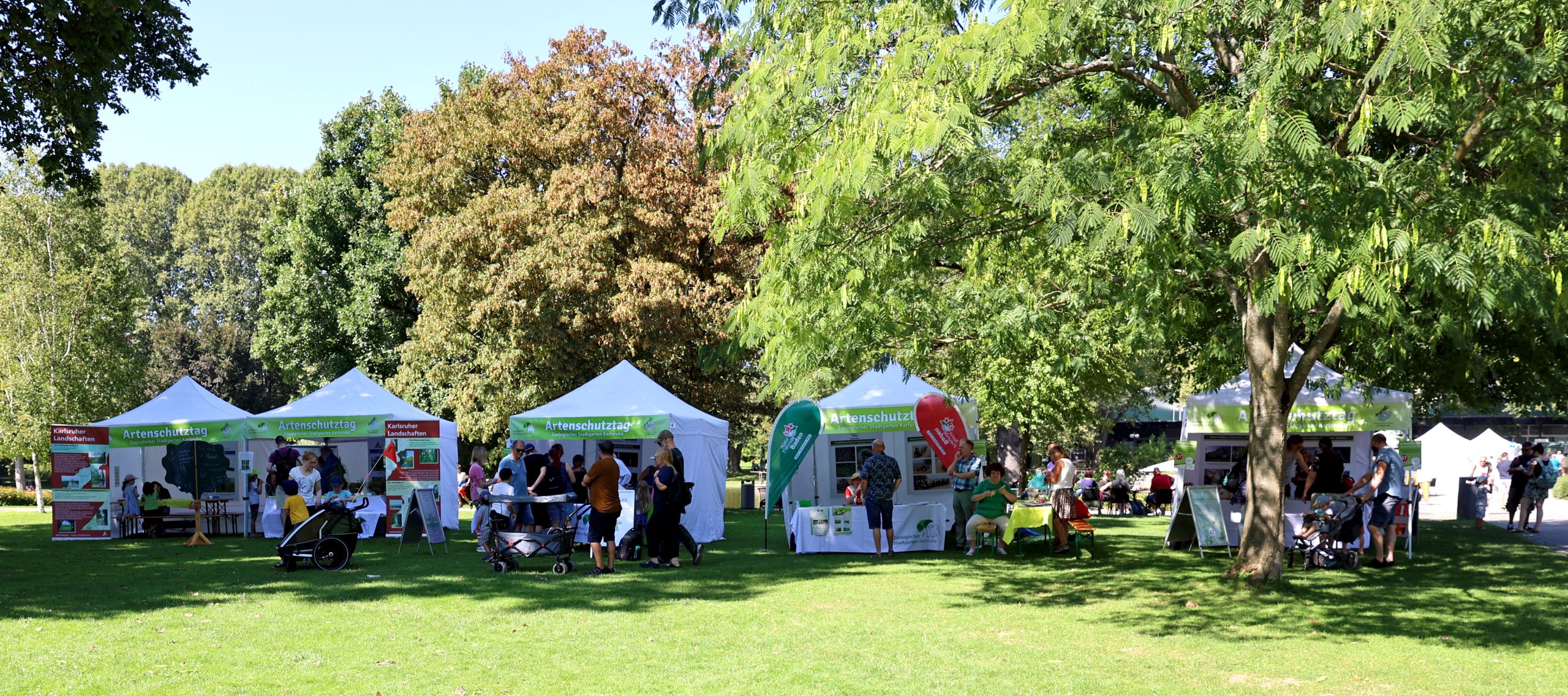Artenschutztag mit vielen Mitmachangeboten
