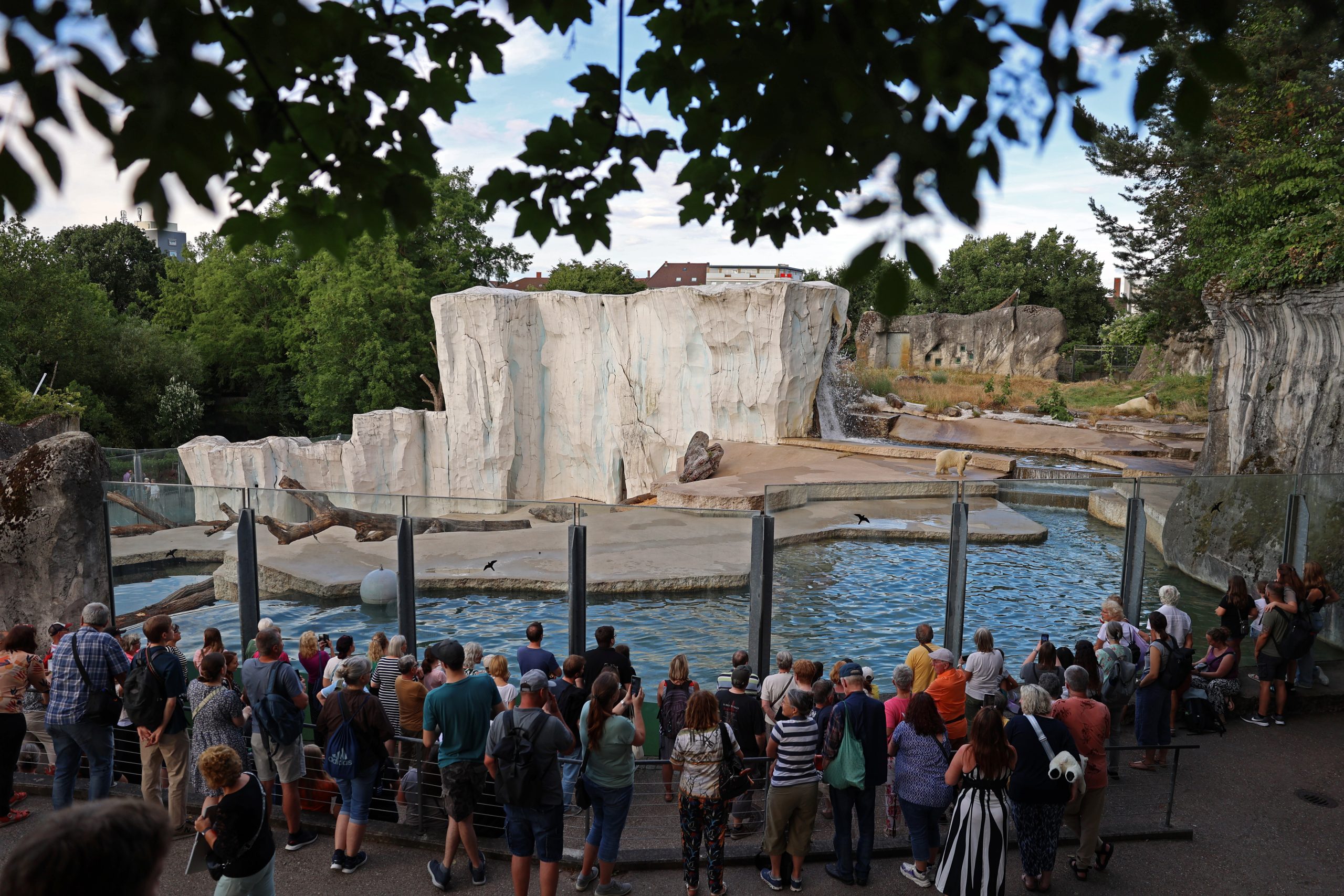 An zwei Sommerabenden die besondere Stimmung im Zoo genießen. 