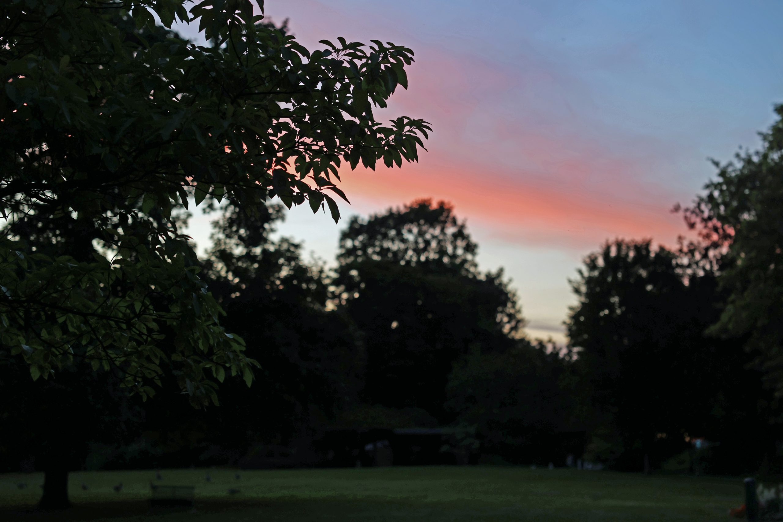 Dreamnight: Veranstaltung für kranke und behinderte Kinder sowie deren Familien.