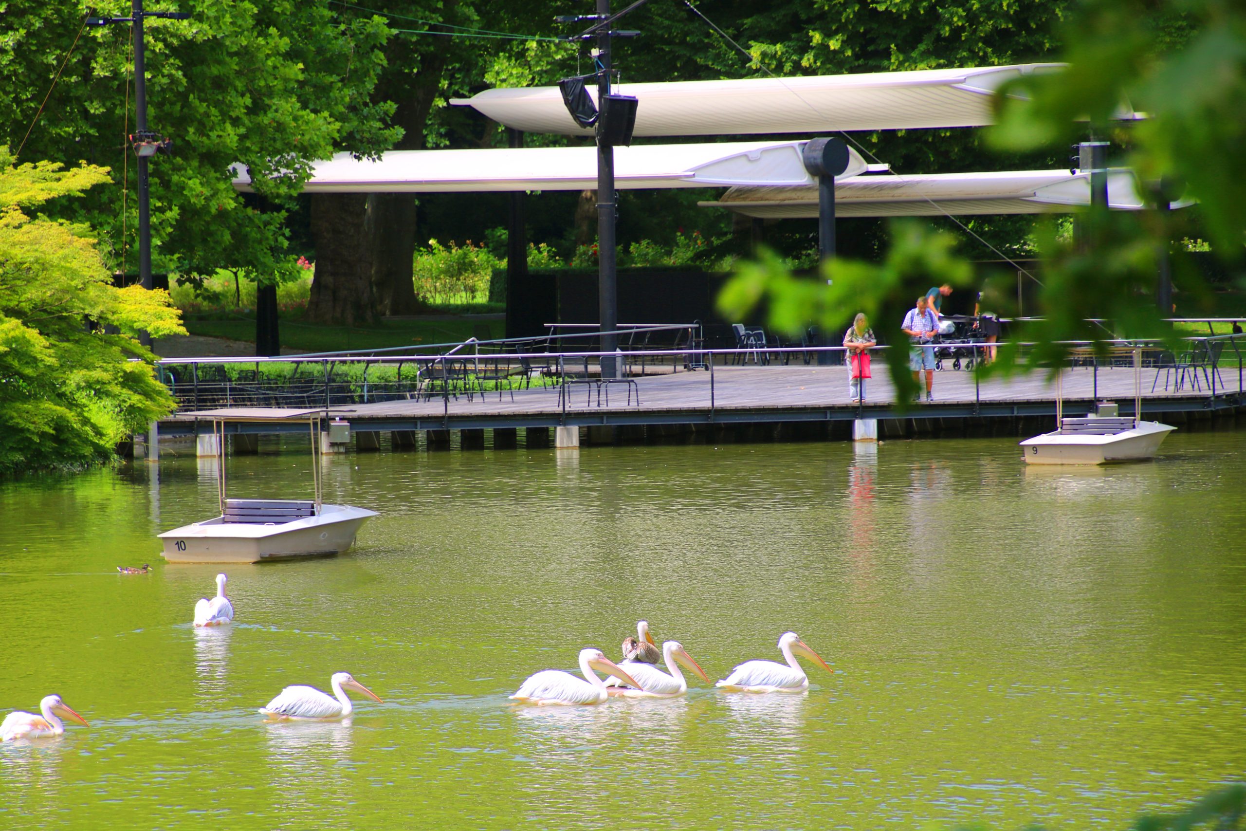 Schnupperangebote der VHS Karlsruhe für Menschen ab 60 Jahren.