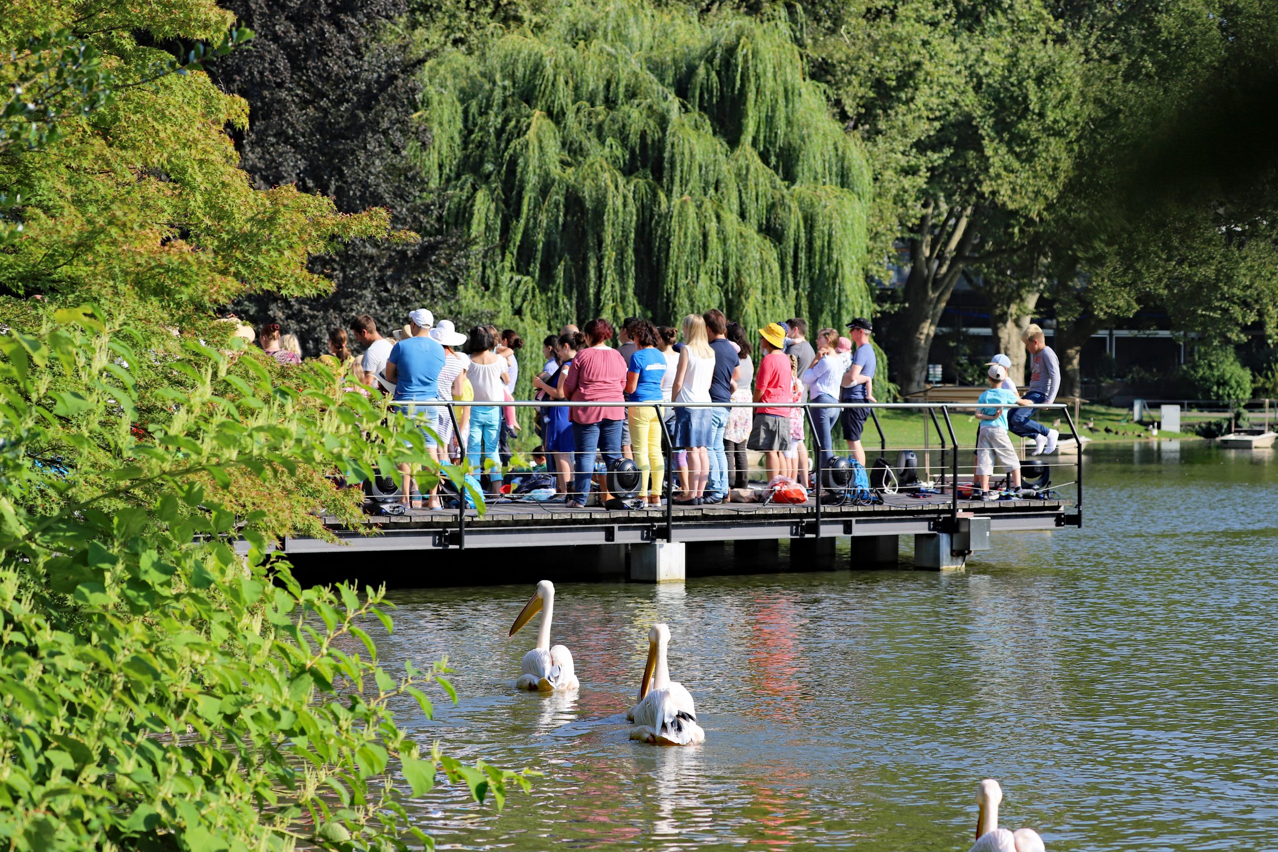 Verschiedene Orchester des Badischen Konservatoriums stellen sich auf der Seebühne vor.