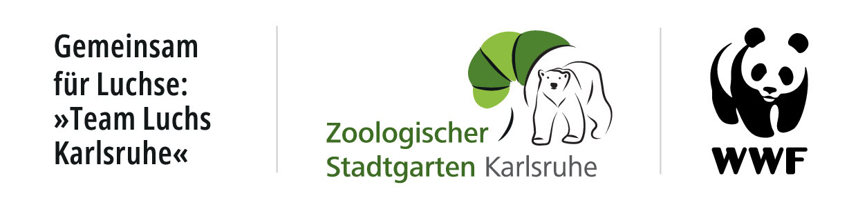 Logo Team Luchs Karlsruhe