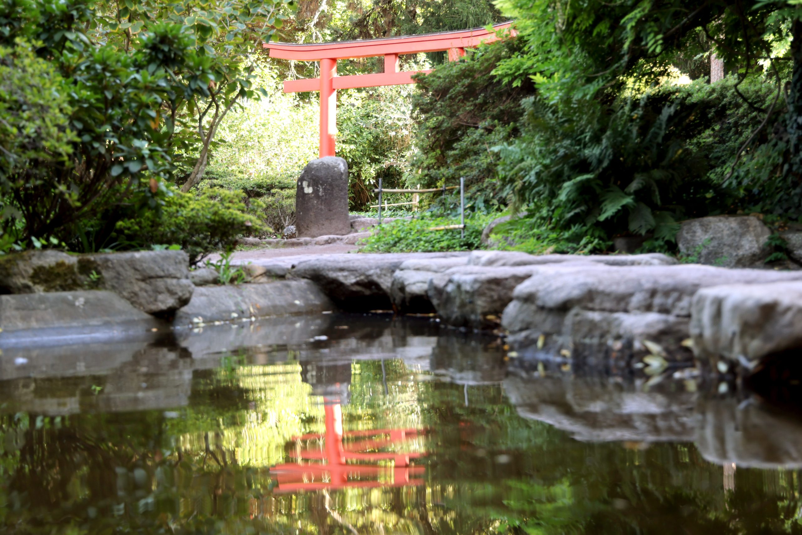 Das Gartenbauamt bietet am 27. September eine fachkundige Führung durch den Japangarten an. Foto: Timo Deible/Zoo Karlsruhe